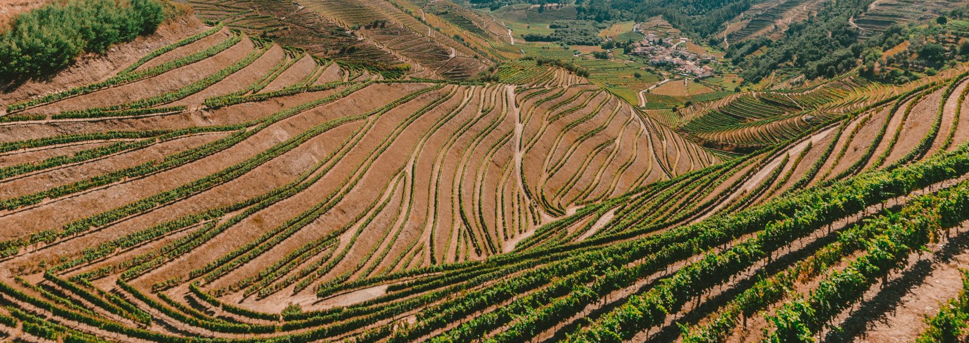 br terroir