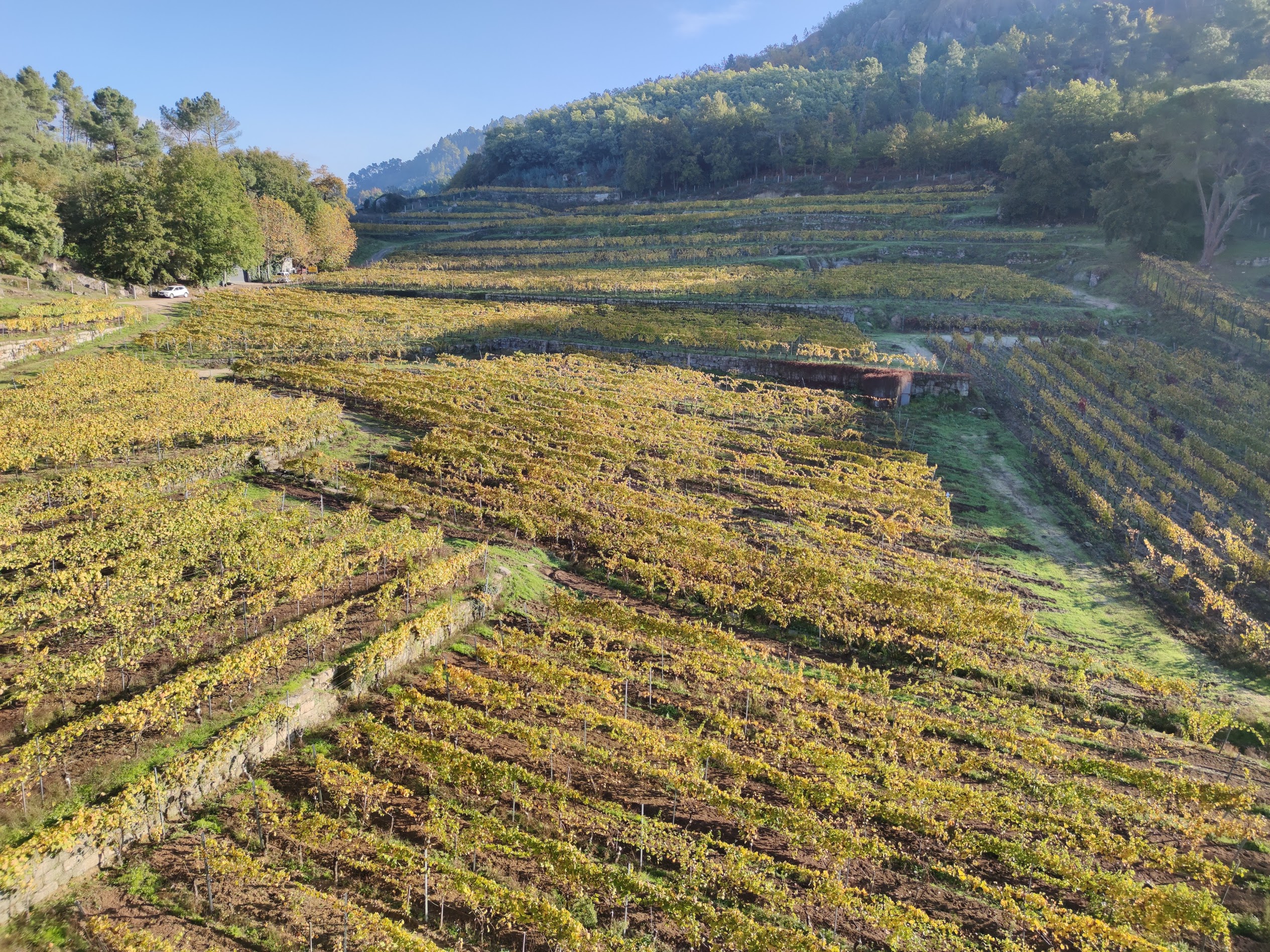 Viña-Mein-Emilio-Rojo