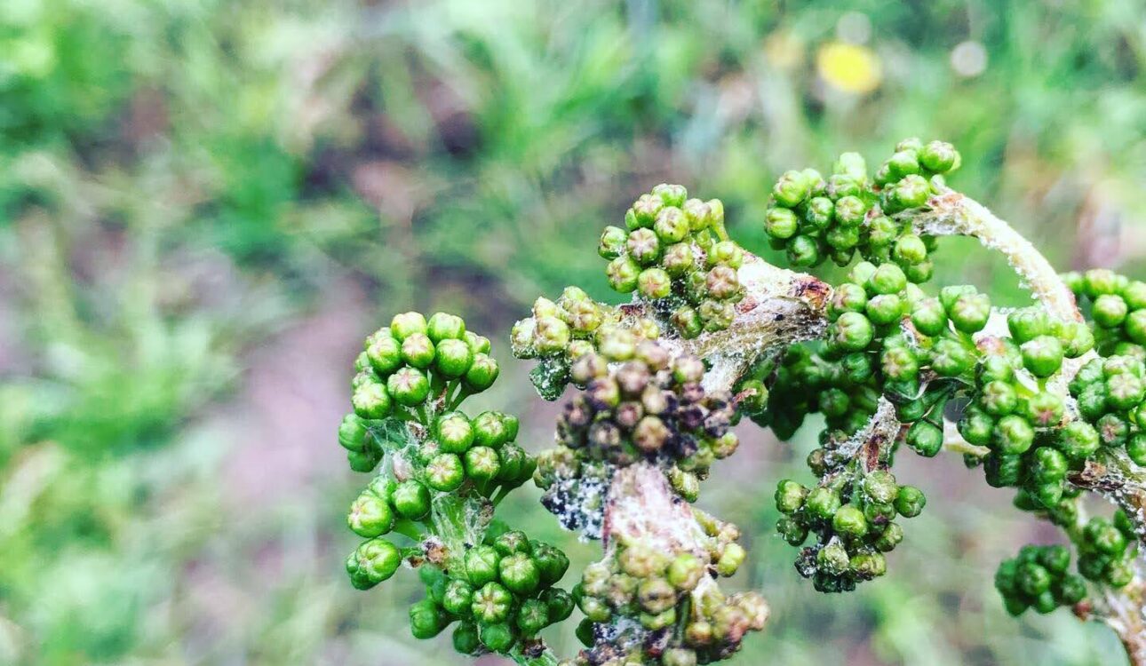 FBE31888-8F3E-4EF6-98A4-F7F80665F05A