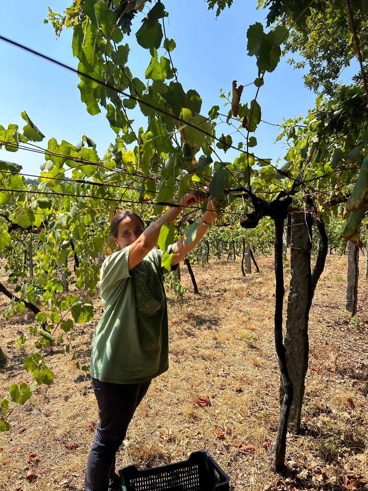 WhatsApp Image 2026-04-16 at 18.14.58 (11)