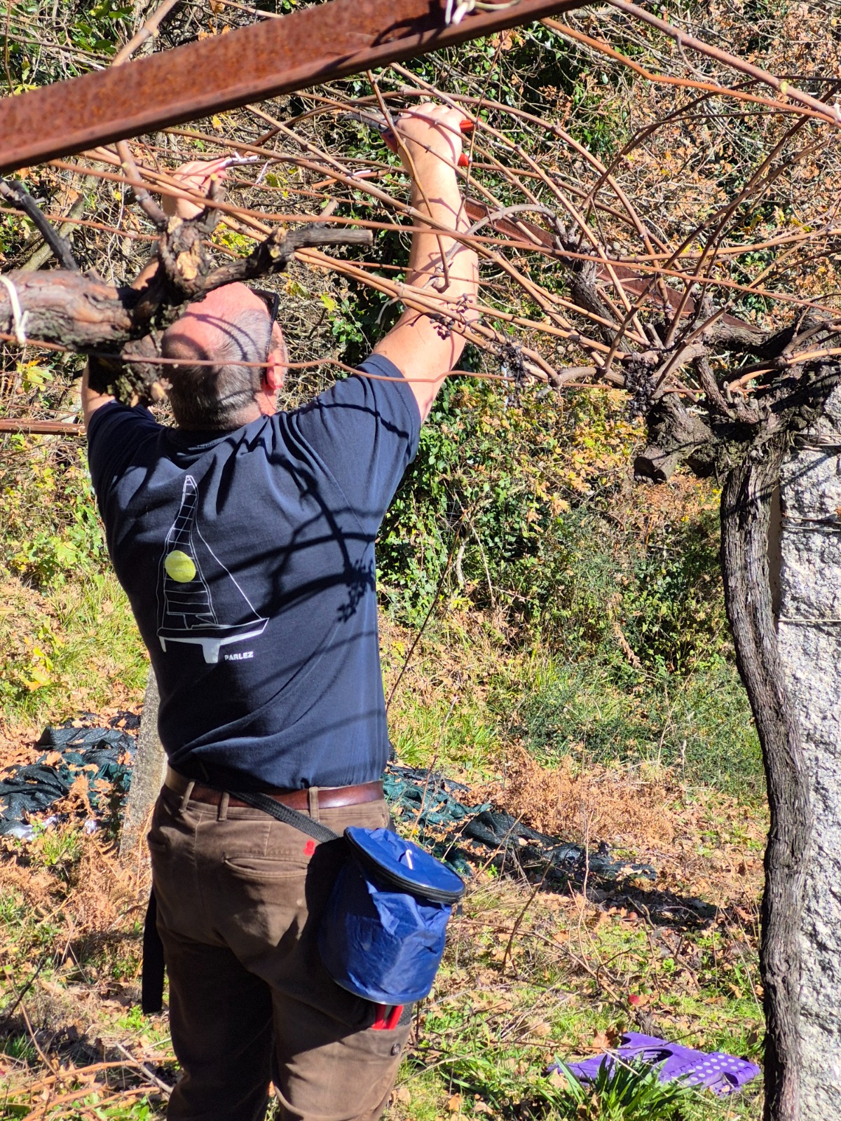 WhatsApp Image 2026-04-16 at 18.14.58 (3)