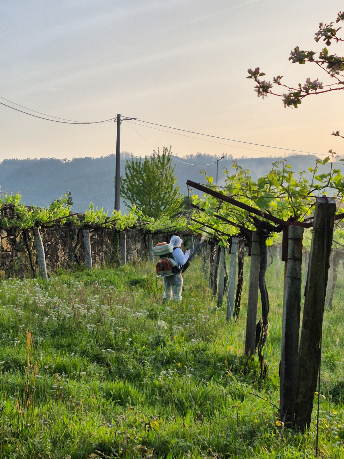 WhatsApp Image 2026-04-16 at 18.14.58 (9)