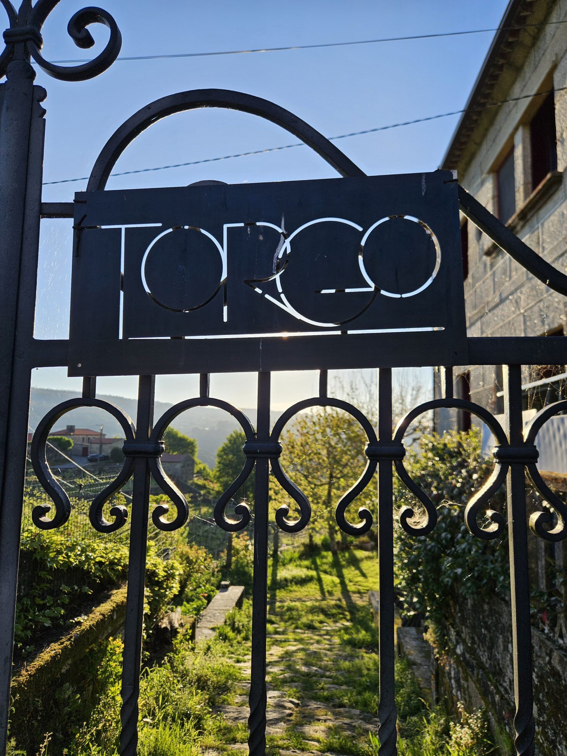 bodega Torgo