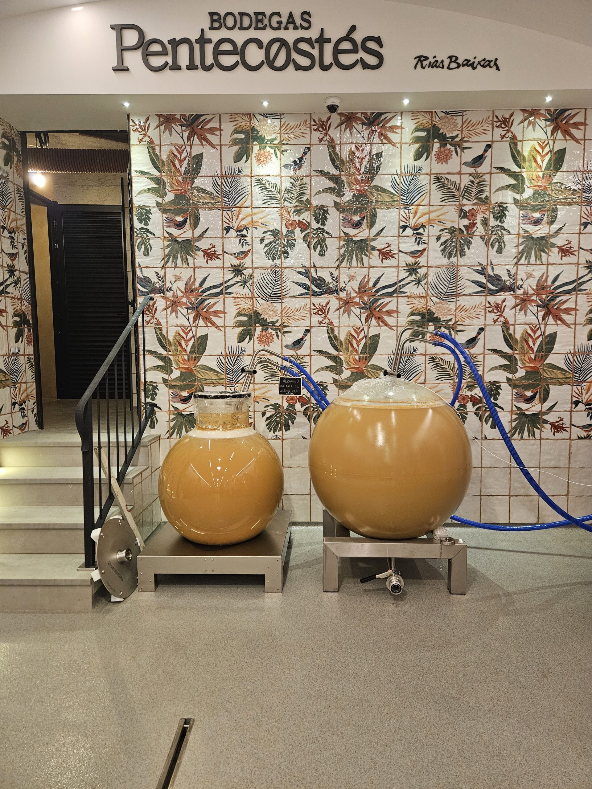 bodegas pentecostés