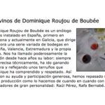 ELMUNDODELVINO